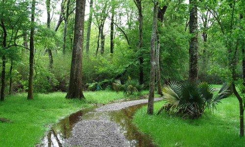                   nature trails
                