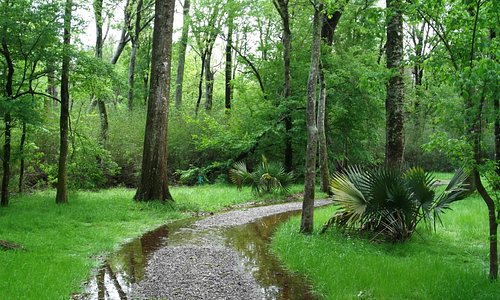                   nature trails
                