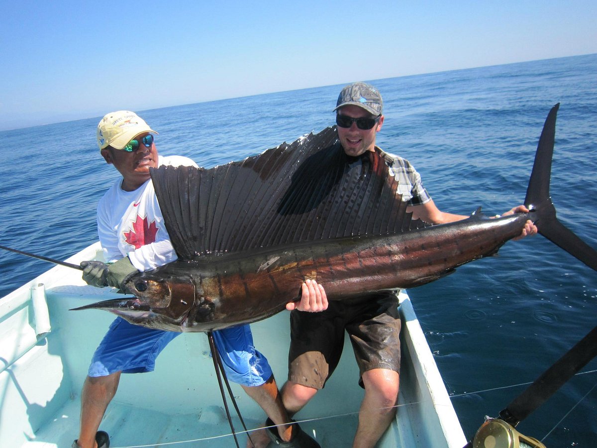 White Shark Sport Fishing & Tours - Qué SABER antes de ir (ACTUALIZADO  2024) - Tripadvisor