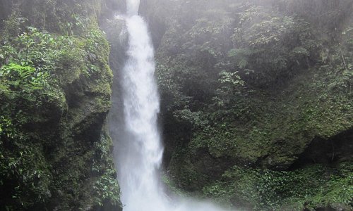                   ditumabo falls
                