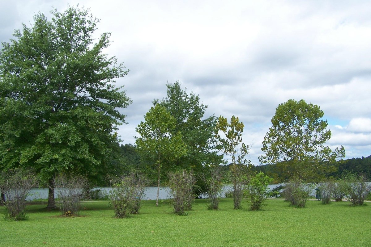 Paintsville Lake State Park (Staffordsville) All You Need to Know