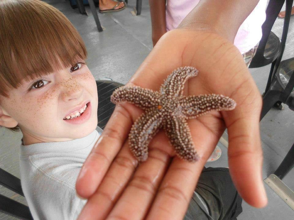 Assateague adventure cruise coupon