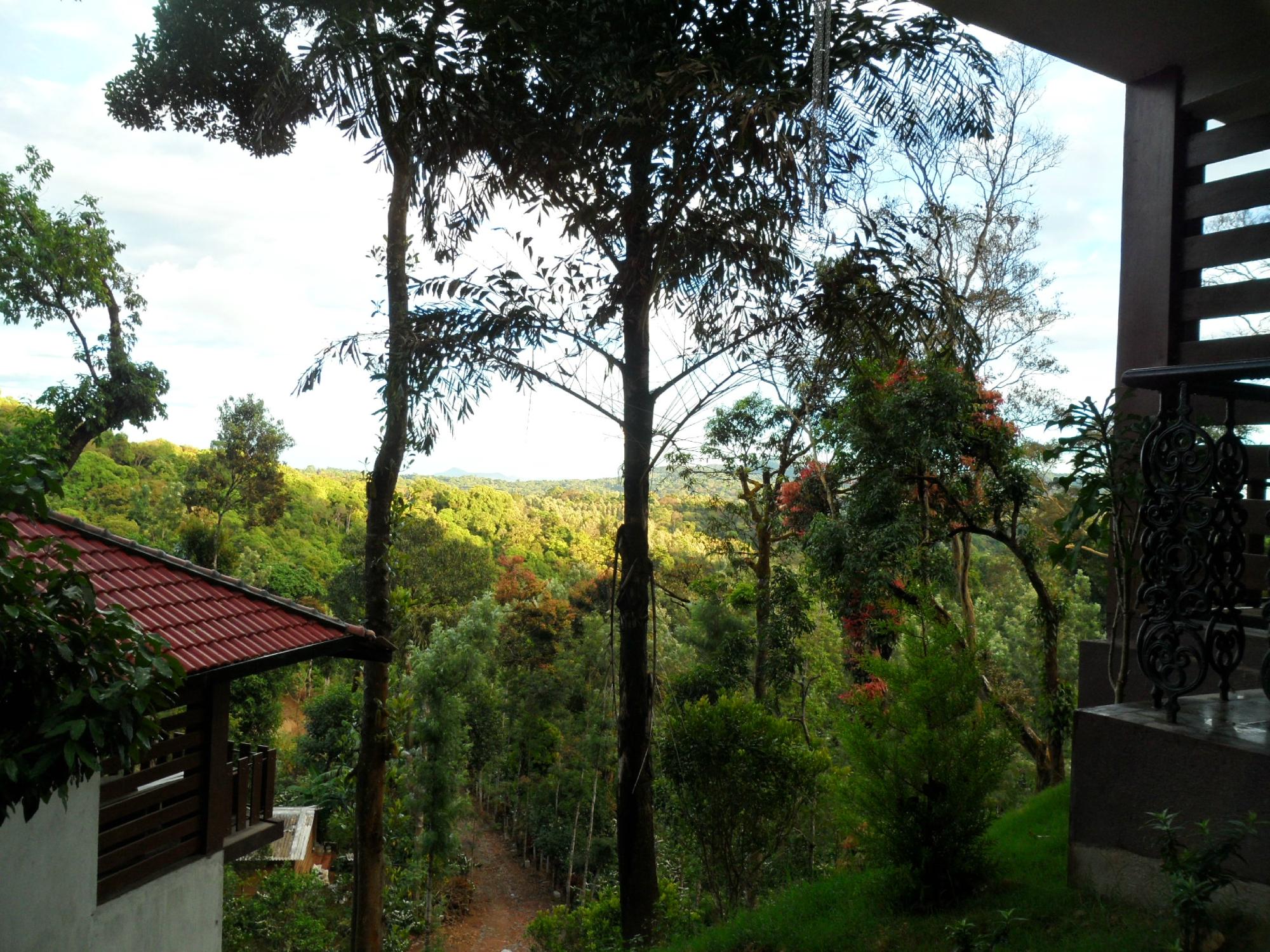 Hotel photo 2 of Serene Woods.