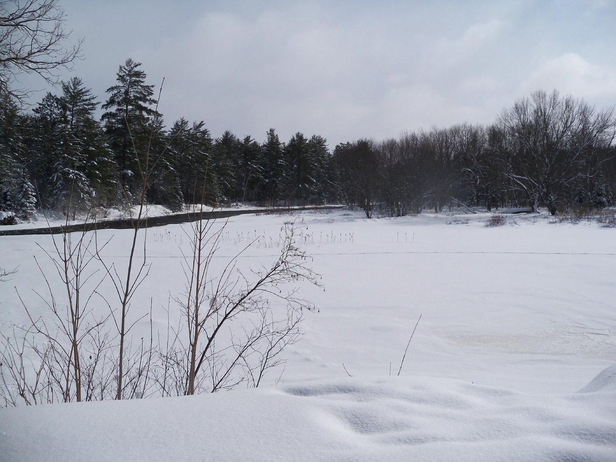 THE CANADIAN ECOLOGY CENTRE CABINS - Prices & Campground Reviews ...