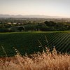 Things To Do in Solvang Wine Tours, Restaurants in Solvang Wine Tours