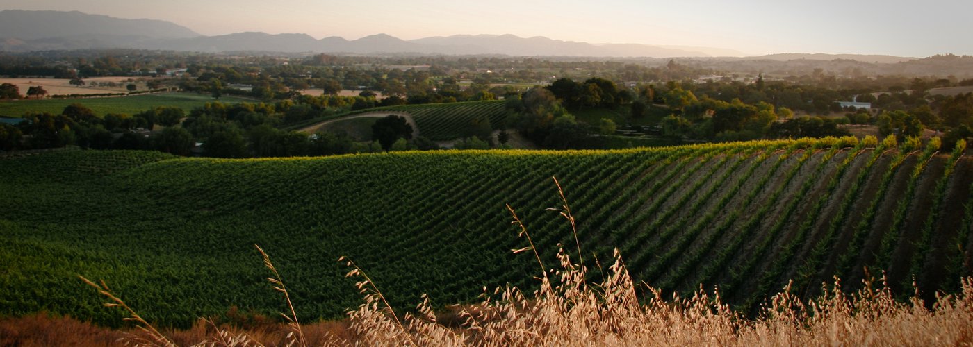                   Santa Ynez Valley Wine Country
                