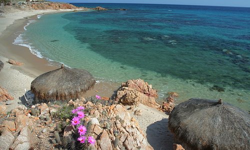 Artículos de primera necesidad Factura Decepcionado Turismo en Los Barriles, México 2022: opiniones, consejos e información - Tripadvisor Artículos de primera necesidad Factura Decepcionado Turismo en Los Barriles, México 2022: opiniones, consejos e información - Tripadvisor