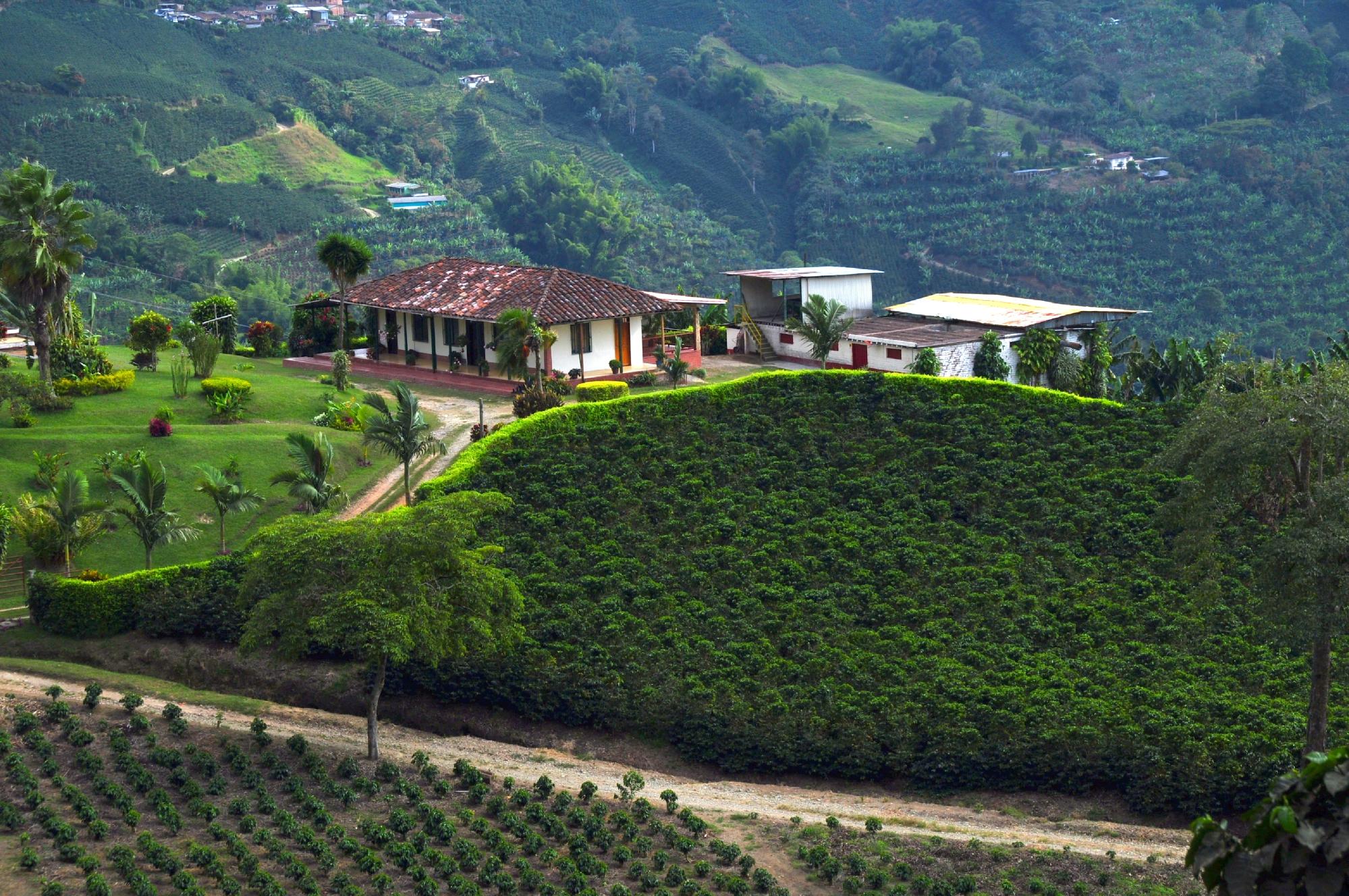 Acompanantes Colombia