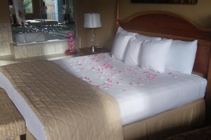 Room & Suite