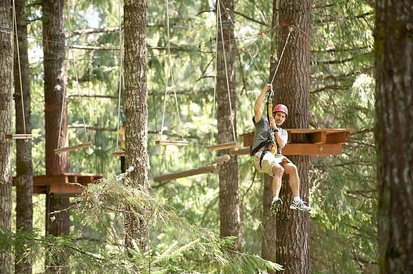Tree to Tree Adventure Park - All You Need to Know BEFORE You Go (2024)