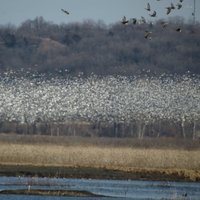 Loess Bluffs National Wildlife Refuge - All You Need to Know BEFORE You ...