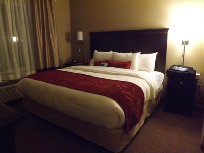 Hotel photo 25 of Comfort Suites Sarasota-Siesta Key.