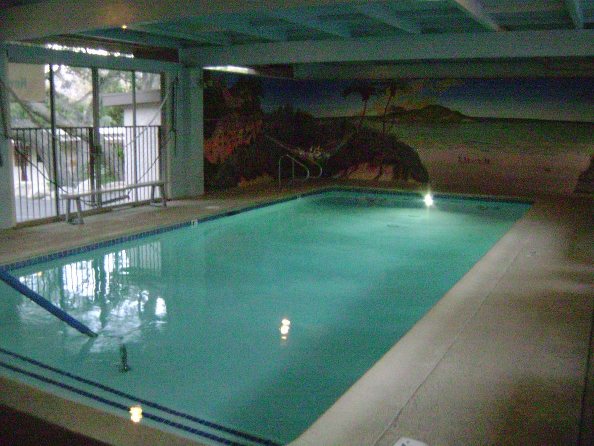 Glen Eden Sun Club Pool Pictures & Reviews Tripadvisor