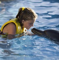 Dolphinaris