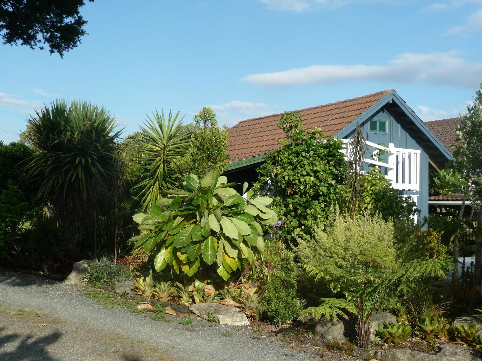 THE STONEHOUSE | B&B Reviews (Waipu, New Zealand) - Tripadvisor