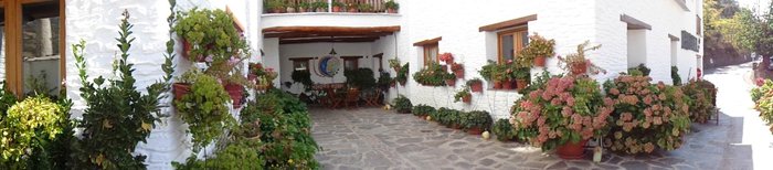 Imagen 8 de Hotel Estrella de las Nieves