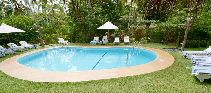 Dalmanuta Gardens - Ayurvedic Resort & Restaurant Pool Pictures ...