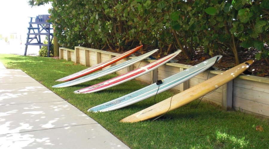 Ready to hang ten!