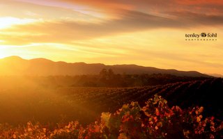                   Santa Ynez Wine Country
                