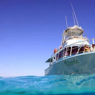 Ningaloo Marine Interactions (Coral Bay): All You Need To Know