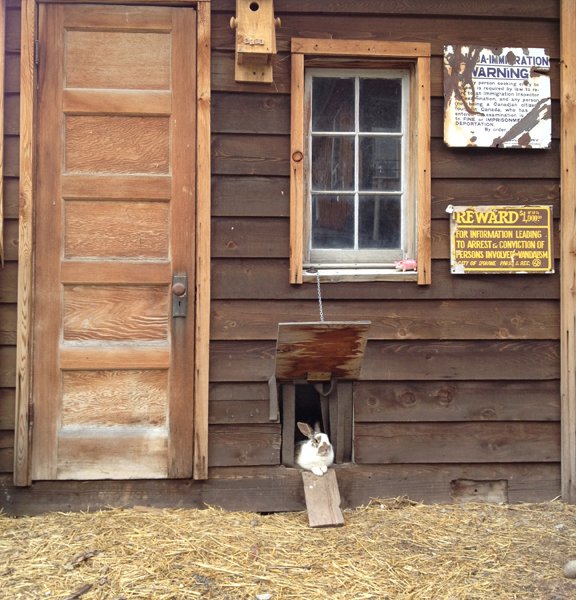 Malo Trading Post image