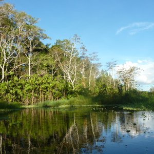 El rio Amazonas