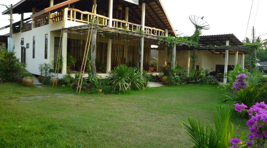 The Mangrove Hideaway