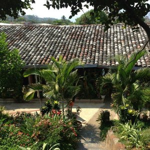                   garden and lower level of the house
                