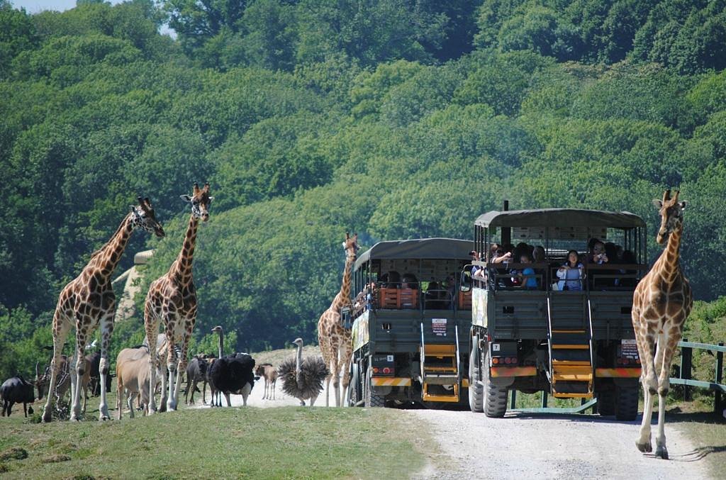 port lympne zoo safari