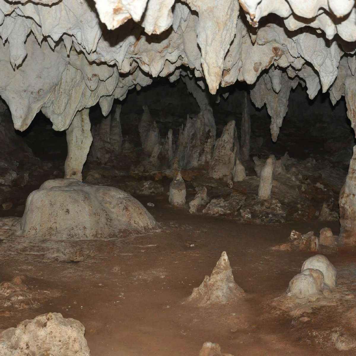 Kiwengwa Caves, Кивенгва: лучшие советы перед посещением - Tripadvisor