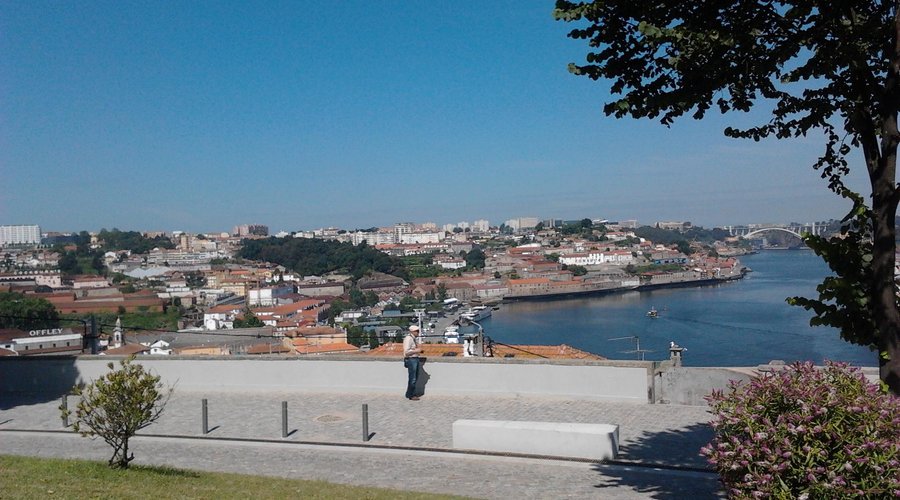                   o jardim
                