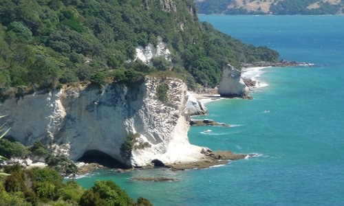                   Cathedral Cove
                