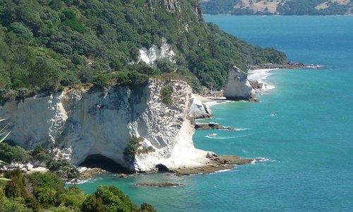                   Cathedral Cove
                