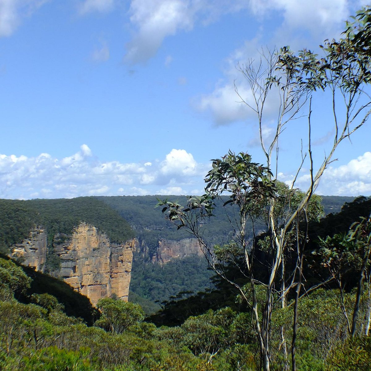 Fortress Rock (Leura): All You Need to Know BEFORE You Go