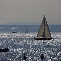 Ausblick von der Uferpromenade in Friedrichshafen