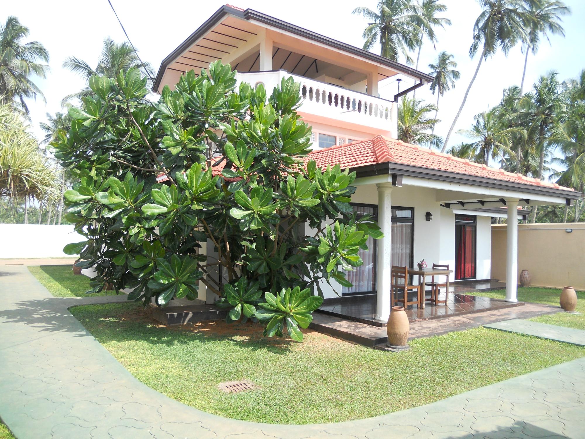 Hotel photo 15 of White Rose Beach Resort.