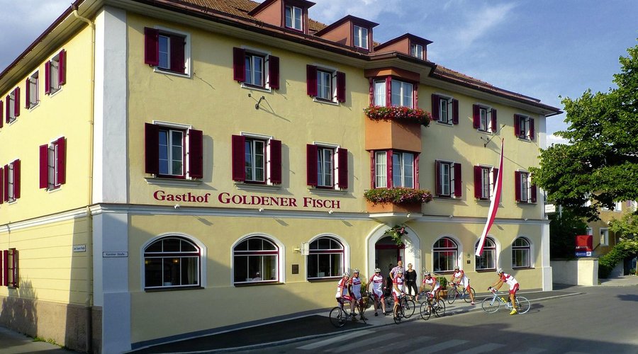 Goldener Fisch Sommer