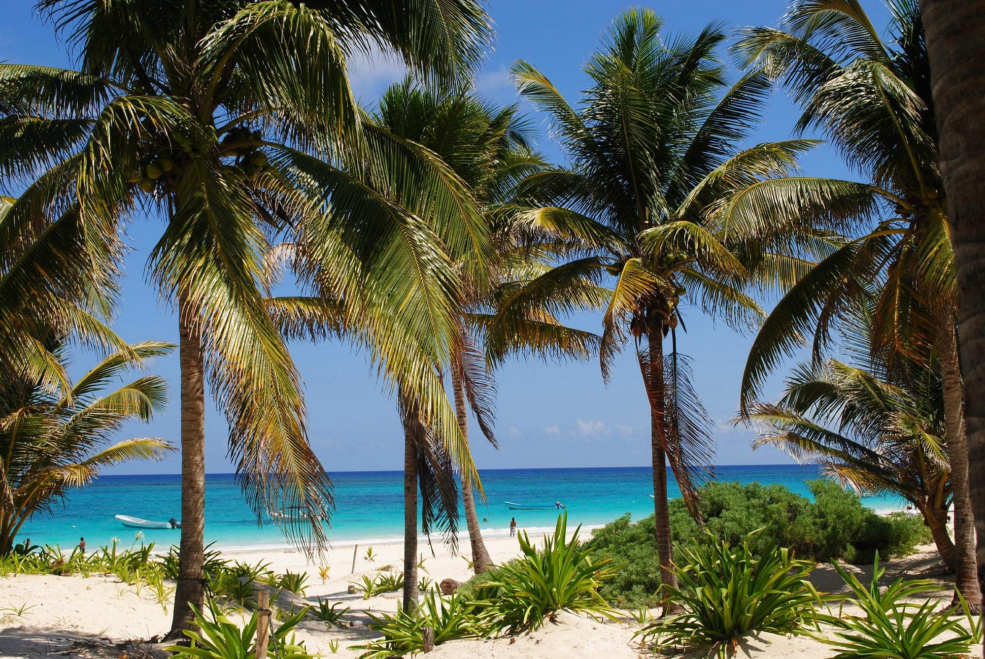 Tulum Beach Guide: Best Beaches in Tulum