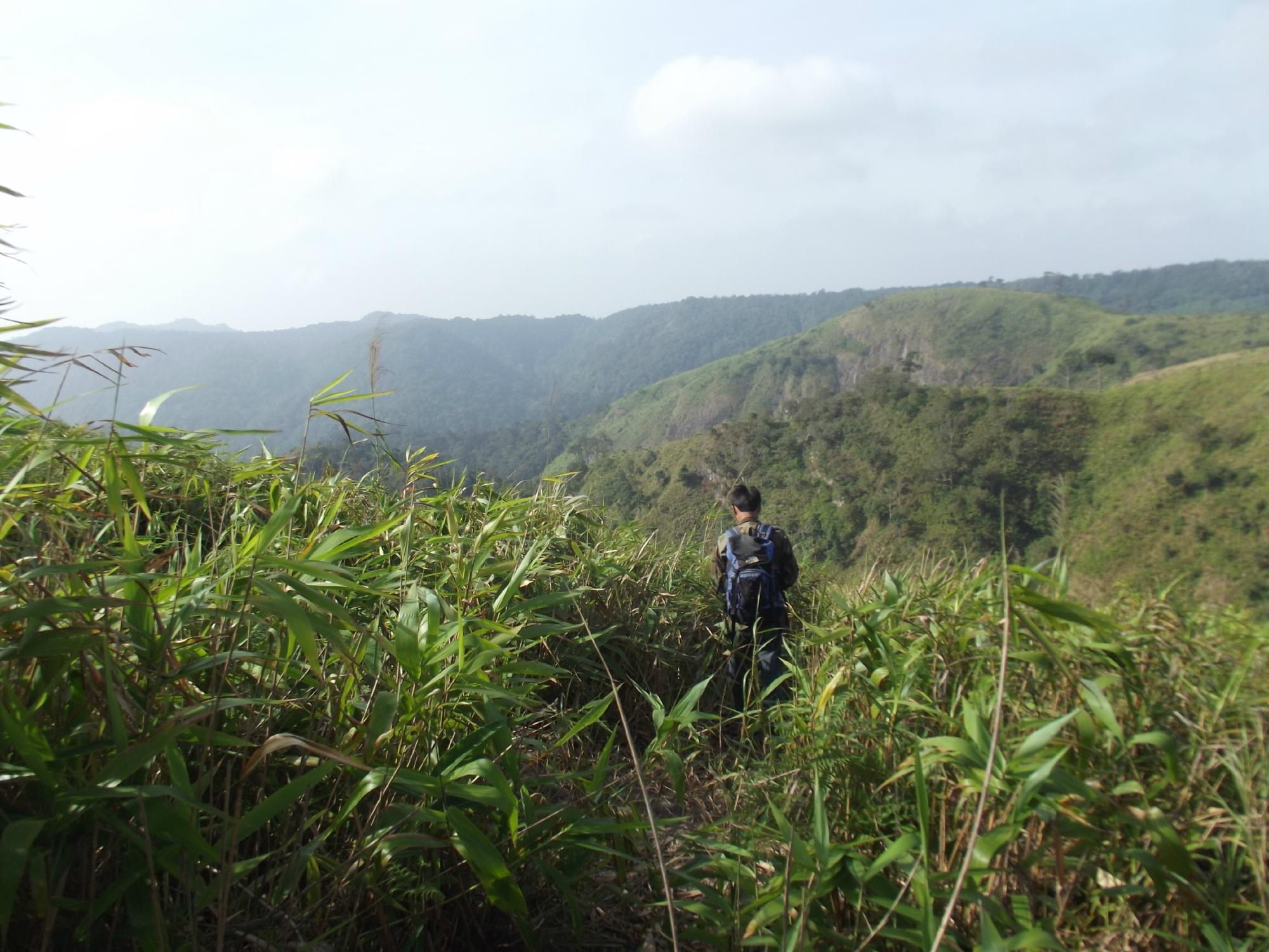 Khoa Yai And Beyond (Khao Yai National Park) - 2023 Alles Wat U Moet ...