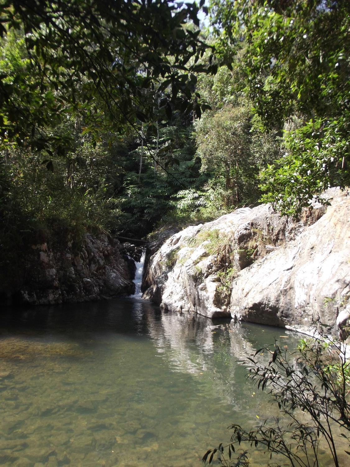 Khoa Yai And Beyond (Khao Yai National Park) - 2023 Alles Wat U Moet ...