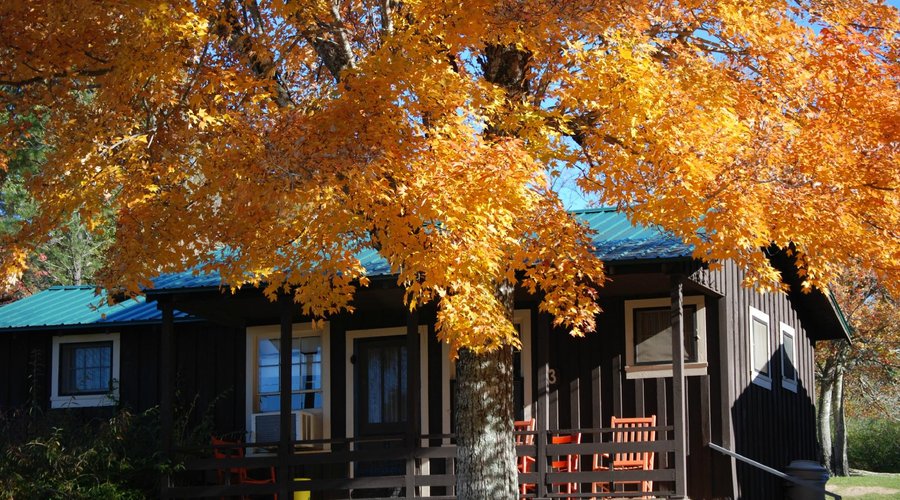 Lakefront Cabin Rentals