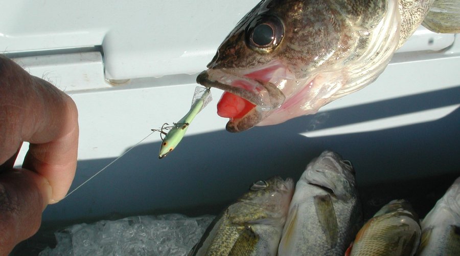 Fishing on Lake Fontana