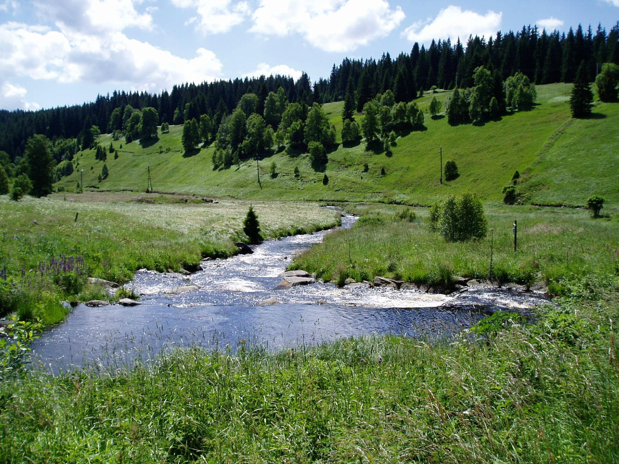 THE 5 BEST Czech Republic National Parks 2024 List Tripadvisor   Sumava National Park 