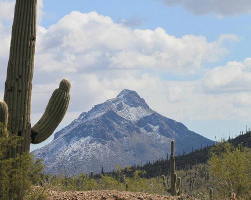 Tucson Map