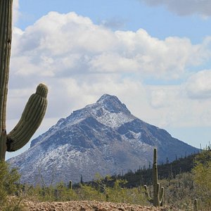 Oro Valley