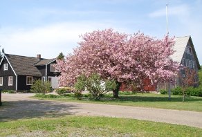 getlstd_property_photo