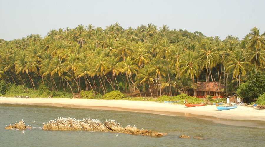WHITE SAND BEACH KANNUR
