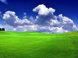 Green field PLC