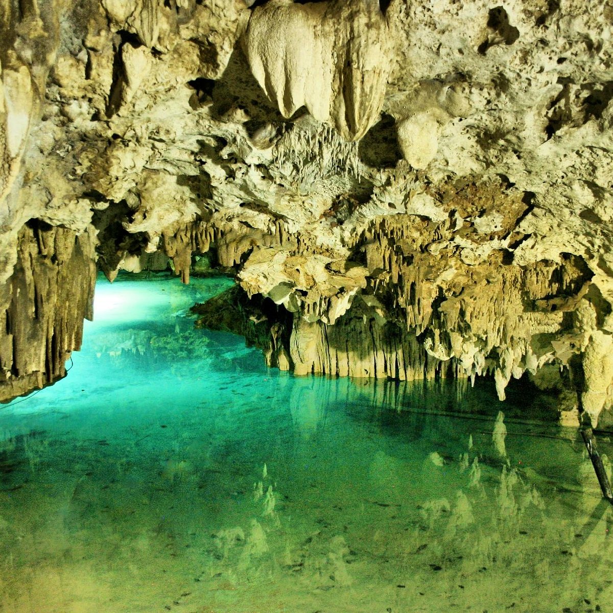 Cenote Santa Cruz (Akumal) - All You Need to Know BEFORE You Go