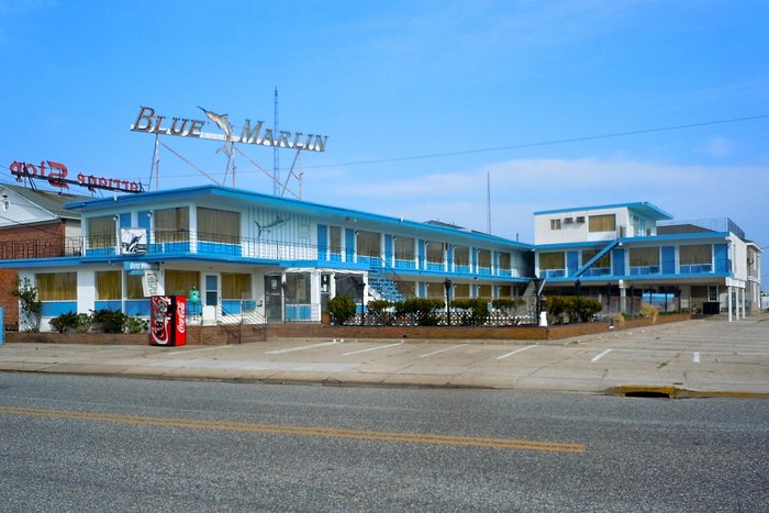 Blue Marlin Motel - Reviews & Photos (Wildwood Crest, NJ